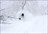 Niseko Powder Discovery