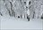 Tohoku Outback Powder Expedition