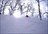 Niseko Powder Discovery